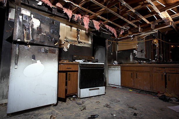 Affordable Fire Damage Removal solutions in Knoxville, MD